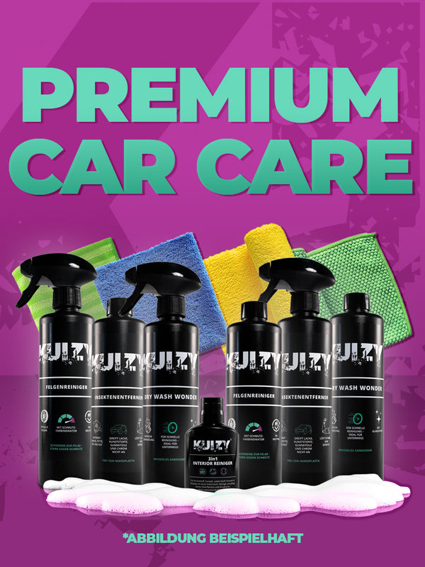 Premium Car Care Kit